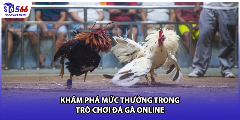 Khám phá mức thưởng trong trò chơi đá gà online
