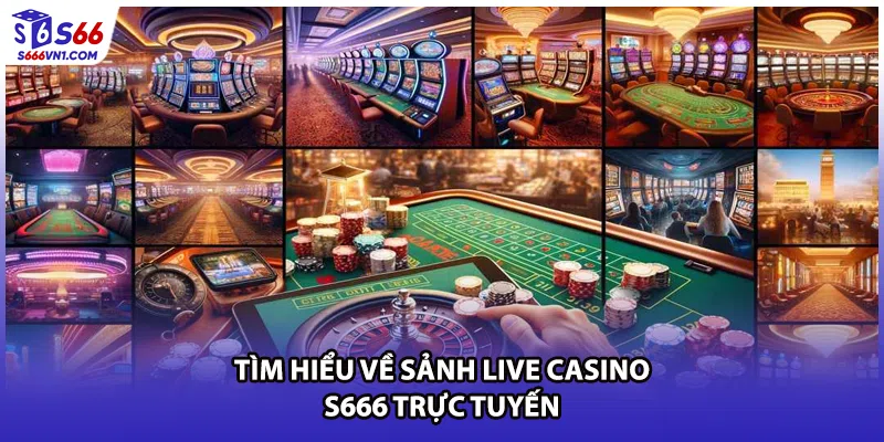 Tìm hiểu về sảnh Live Casino S666 trực tuyến 